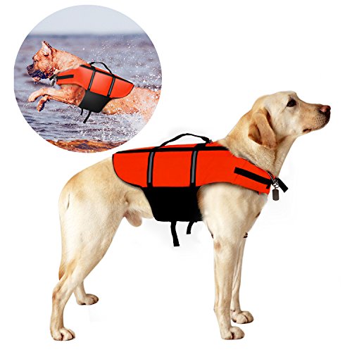 Natur præambel afspejle Redningsvest hund | Køb svømmeveste til hunde (199,- på tilbud)